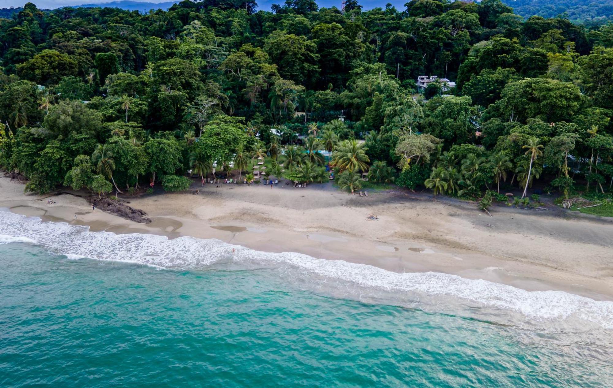 Le Cameleon Boutique Hotel Puerto Viejo de Talamanca Exterior foto